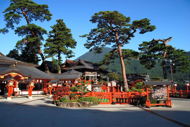 松の木の向こうに朱塗りの社殿が並ぶ太皷谷稲成神社の境内